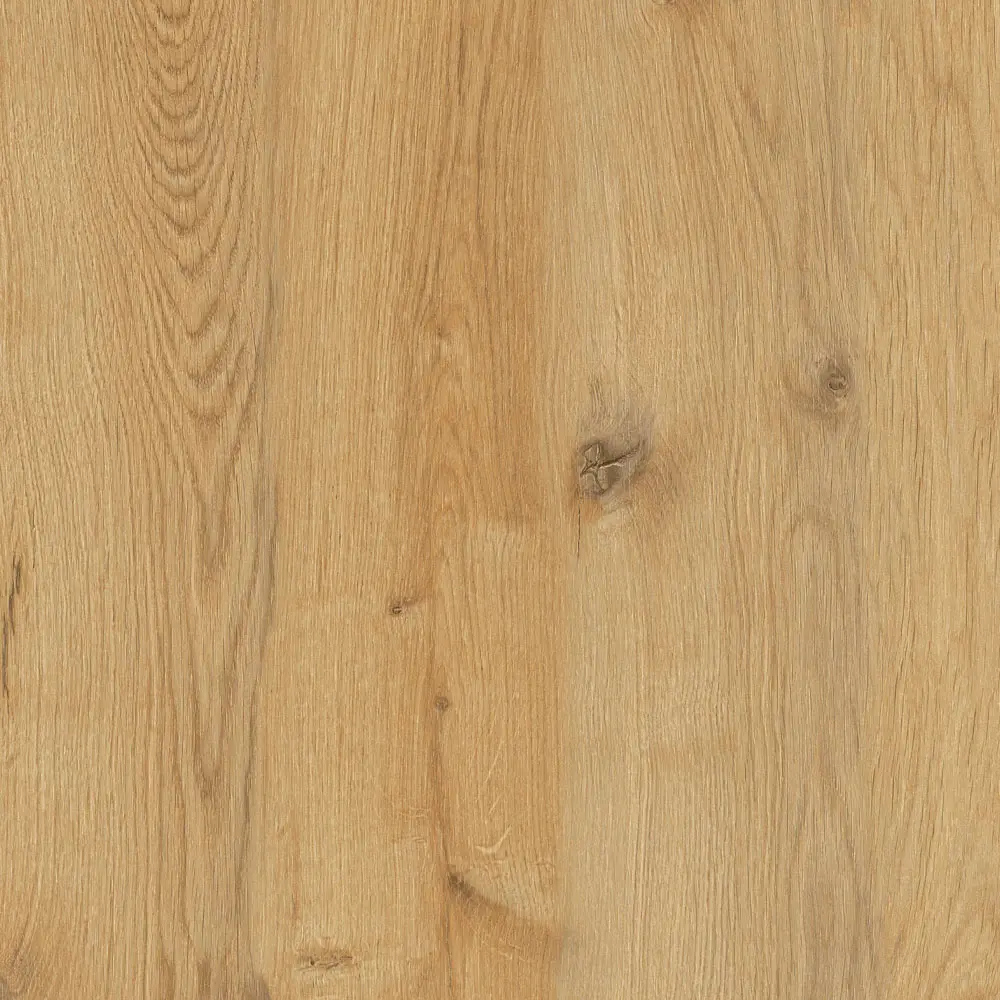 SHIPPORD A495  18MM 366X183